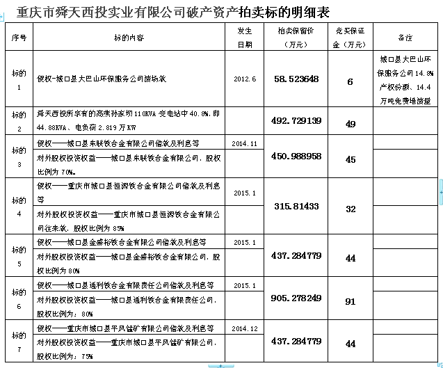 重庆市舜天西投实业有限公司破产资产司法拍卖公告